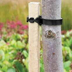 Complete Tree Planting Kit -Garden Plants Sales 300215 4