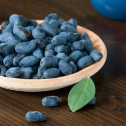 Honeyberry -Garden Plants Sales 310034 3