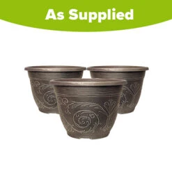 Blueberry Collection With Decorative Pots -Garden Plants Sales 310082 4