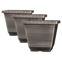 The Complete Blueberry Growing Kit 15 The Complete Blueberry Growing Kit -Garden Plants Sales 310083 5