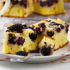 Morus Rotundiloba 'Mojoberry' Dwarf Mulberry -Garden Plants Sales 310092 7