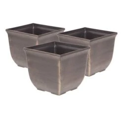 Complete Blueberry Vaccinium Kit 16 Complete Blueberry Vaccinium Kit -Garden Plants Sales 310123 6