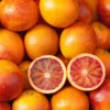 Blood Orange Citrus -Garden Plants Sales 340042