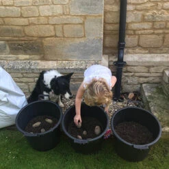 Complete Patio Potato Growing Kit -Garden Plants Sales 350007 5