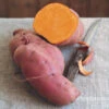 Sweet Potato Ipomoea Erato Orange -Garden Plants Sales 350085