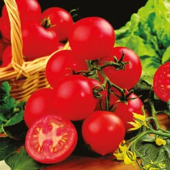 Tomato Collection 9 Tomato Collection -Garden Plants Sales 370092 3