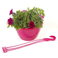 'Eton Mess' Pre-Planted Basket -Garden Plants Sales 450079 2