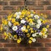 'Sherbet Lemon' Pre-Planted Basket -Garden Plants Sales 450080