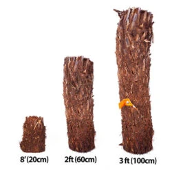 Tree Fern 'Dicksonia Antarctica' Log - 3 Foot Tall -Garden Plants Sales 500072 8