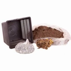 Water Lily Planting Kit - Yellow -Garden Plants Sales 580028 4