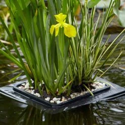 Floating Pond Plant Raft -Garden Plants Sales 580030 1