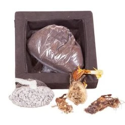 Floating Pond Plant Raft -Garden Plants Sales 580030 3