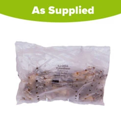 Polianthes Tuberosa 'The Pearl' -Garden Plants Sales 630004 4