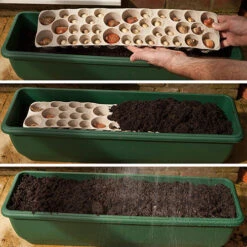 Blooming Fast Drop In Bulb Planter Balcony Beauty Pack -Garden Plants Sales 630107 5