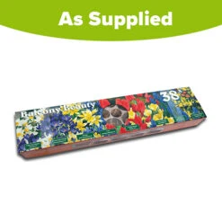 Blooming Fast Drop In Bulb Planter Balcony Beauty Pack -Garden Plants Sales 630107 6