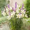 Plant-O-Mat Lilium And Liatris Kit -Garden Plants Sales 630176