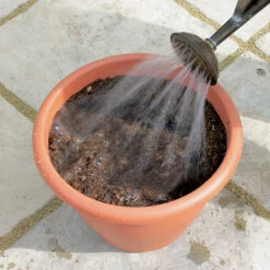 Blooming Fast Drop In Bulb Planter Tulip And Muscari Kit -Garden Plants Sales 630187 3