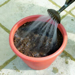 Blooming Fast Drop In Bulb Planter Tulip And Crocus Kit -Garden Plants Sales 630188 3