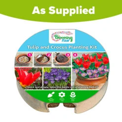 Blooming Fast Drop In Bulb Planter Tulip And Crocus Kit -Garden Plants Sales 630188 4