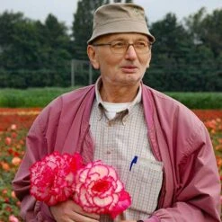 Belgian Giant Flowered Upright Begonias 11 Belgian Giant Flowered Upright Begonias -Garden Plants Sales 630192 4