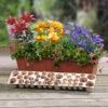 Summer Flowering Balcony Plant-O-Mat -Garden Plants Sales 630217