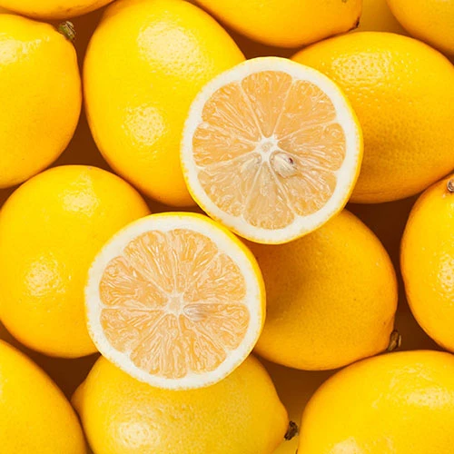 Pair Of Large Lemon Trees 5 Pair Of Large Lemon Trees - Image 3