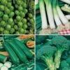 Greens Vegetable Seed Collection 2 Greens Vegetable Seed Collection -Garden Plants Sales 700051