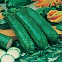 Greens Vegetable Seed Collection 10 Greens Vegetable Seed Collection -Garden Plants Sales 700051 3