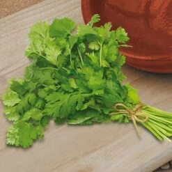 Herb Seed Collection -Garden Plants Sales 700052 4